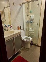 Simei Green Condominium (D18), Condominium #593571771